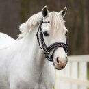 QHP - Bixie trense QHP - Bixie trense