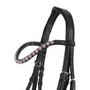 QHP - Bixie trense QHP - Bixie trense