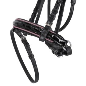 QHP - Bixie trense QHP - Bixie trense