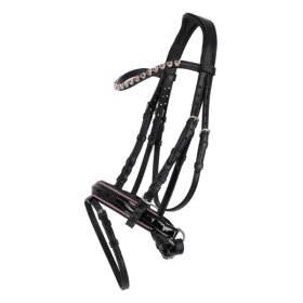QHP - Bixie trense QHP - Bixie trense