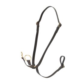 LeMieux - Hobby horse martingal LeMieux - Hobby horse martingal