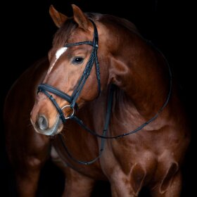 HorseGuard - Emi 26.2 trense HorseGuard - Emi 26.2 trense
