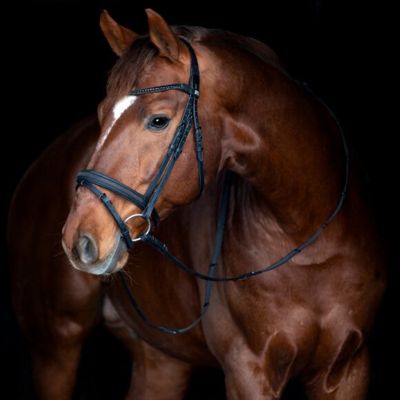 HorseGuard - Emi 26.2 trense