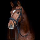 HorseGuard - Emi 26.2 trense HorseGuard - Emi 26.2 trense