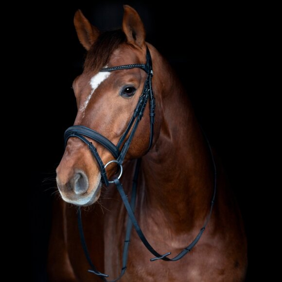 HorseGuard - Emi 26.2 trense