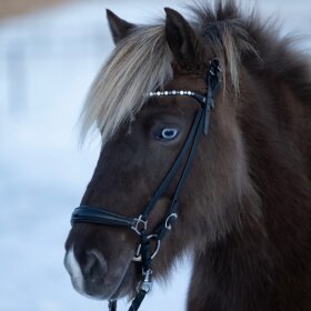 HorseGuard - Norfolk islænder trense HorseGuard - Norfolk islænder trense