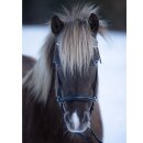 HorseGuard - Norfolk islænder trense