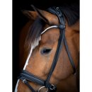 Catago - Arlington trense Catago - Arlington trense