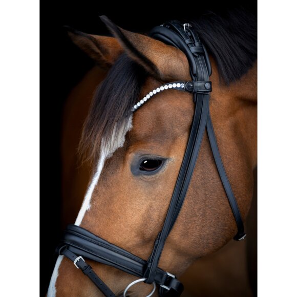 Catago - Arlington trense