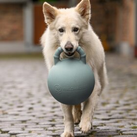Waldhausen - Fun Ball Waldhausen - Fun Ball