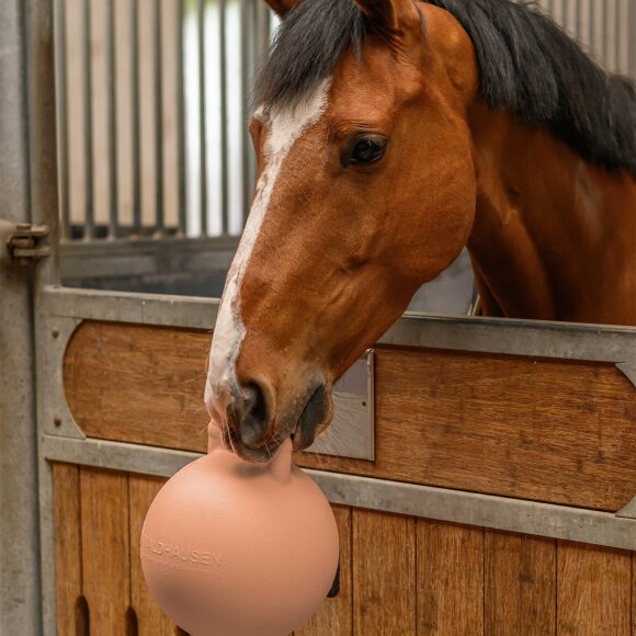 Waldhausen - Fun Ball