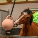 Waldhausen - Fun Ball Waldhausen - Fun Ball