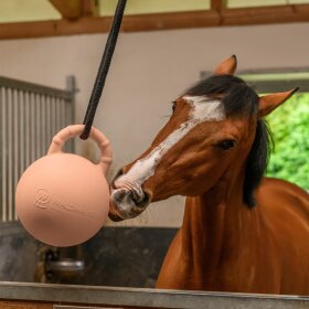 Waldhausen - Fun Ball Waldhausen - Fun Ball