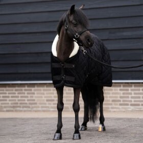Imperial Riding - Bandit showdækken
