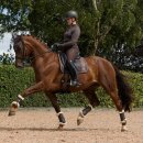 LeMieux - Heritage dressur underlag LeMieux - Heritage dressur underlag
