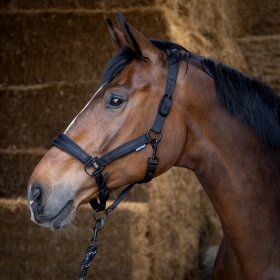 Harrys Horse - Grimesæt black edition