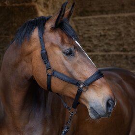 Harrys Horse - Grimesæt black edition