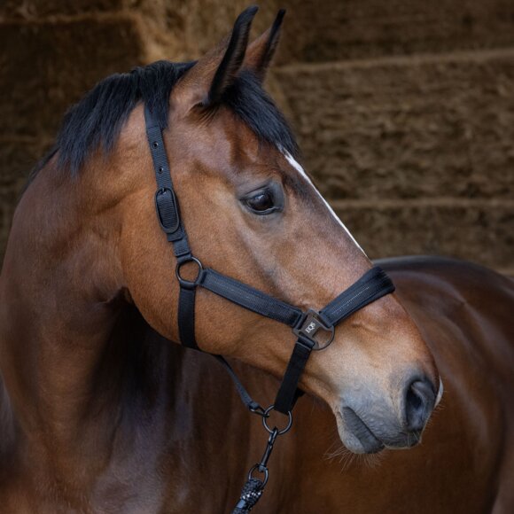 Harrys Horse - Grimesæt black edition