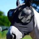Kentucky horsewear - Fluemaske slimfit 
